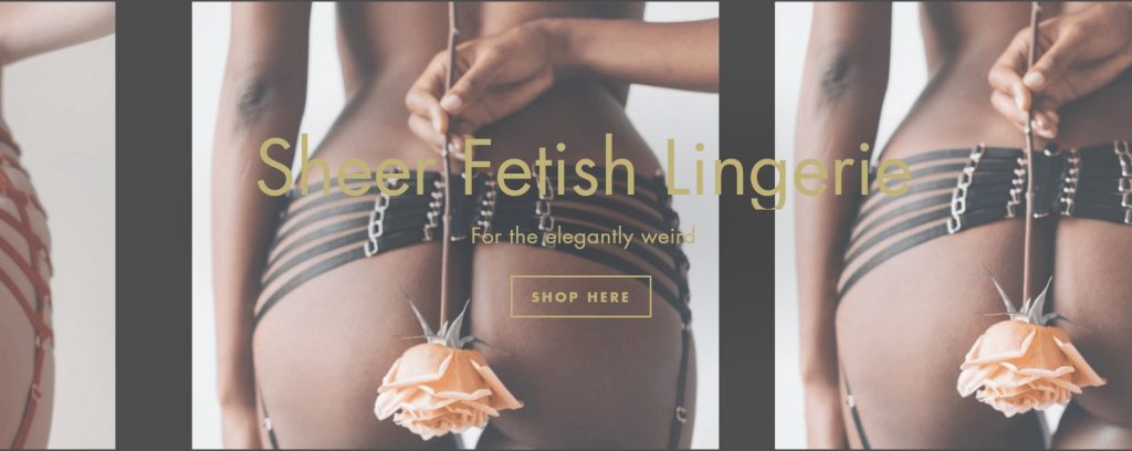 Sheer fetish lingerie